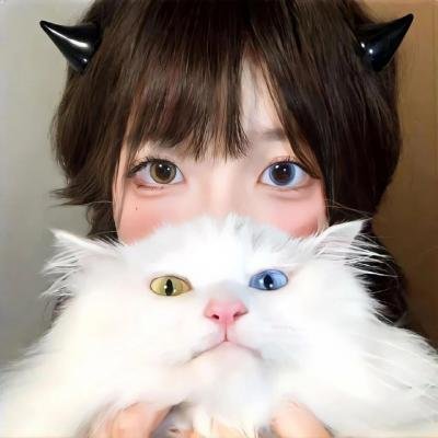 蓬门绮梦